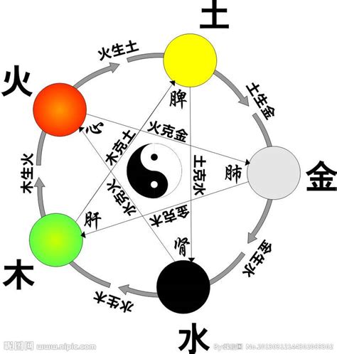 水型人性格|水性格:优点、缺点和MBTI类型